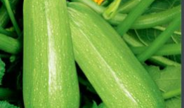 51热门大瓜今日吃瓜爆料 学生,今日吃瓜爆料，揭秘娱乐圈最新动态！”